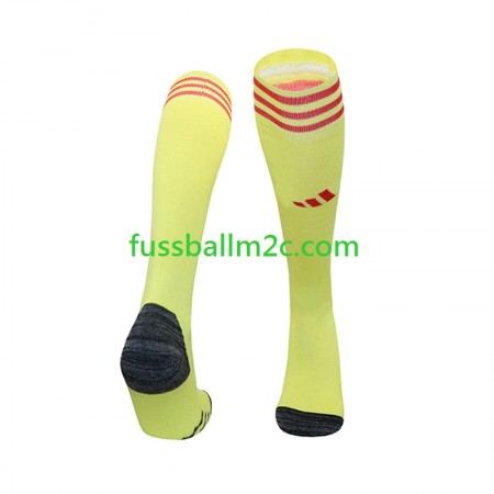 Bayern München Torwart Heim Socken 2024-2025